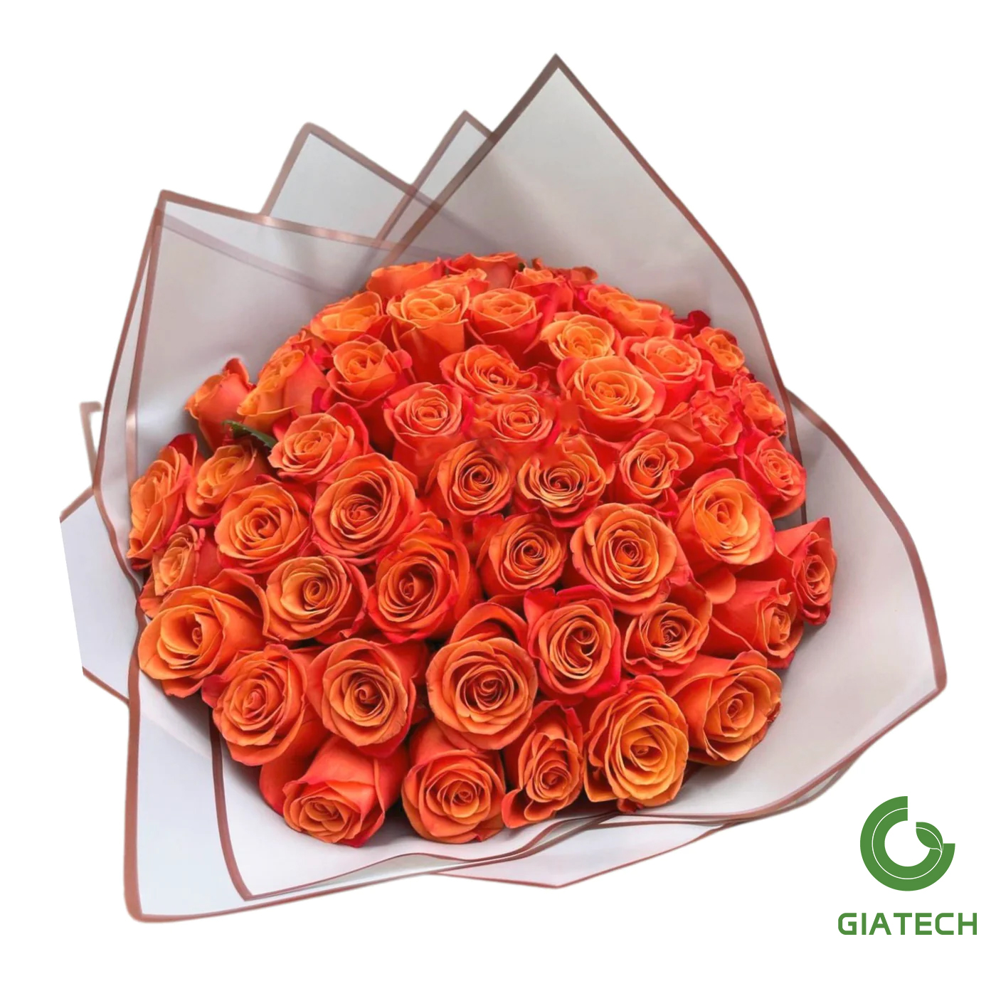 دسته گل رز هلندی