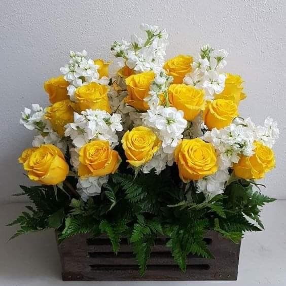 باکس‌‌ گل