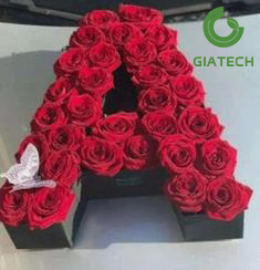 باکس گل رز حروف لاتین