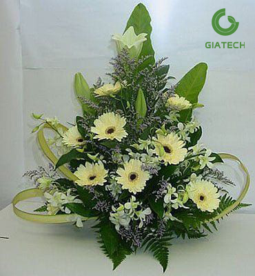 باکس گل ژربرا و لیلیوم