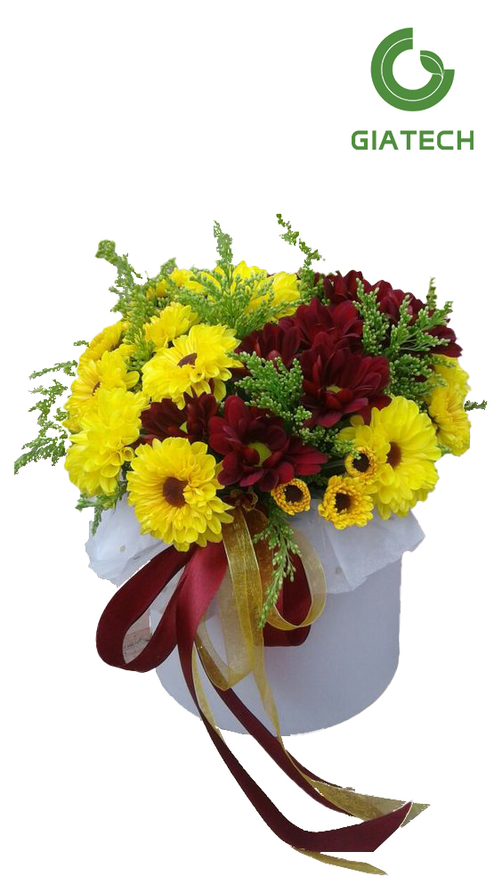 باکس گل داوودی