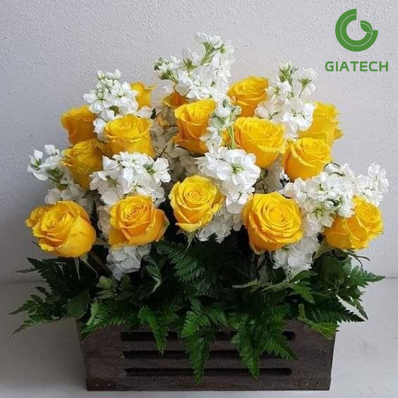 باکس گل شب&zwnj;بو و رز