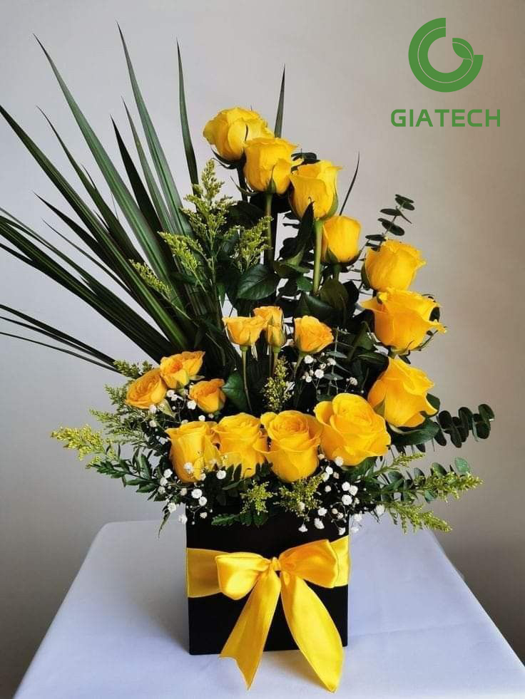باکس گل رز هلندی