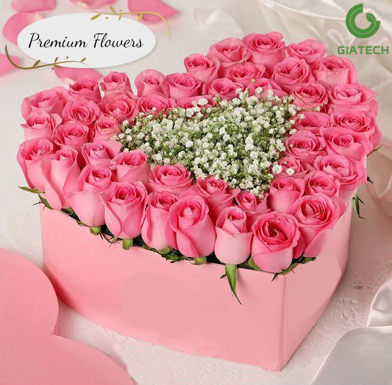 باکس گل رز هلندی طرح قلب
