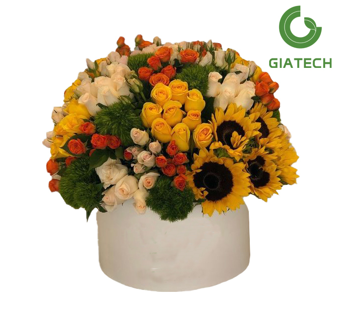 باکس گل رز هلندی