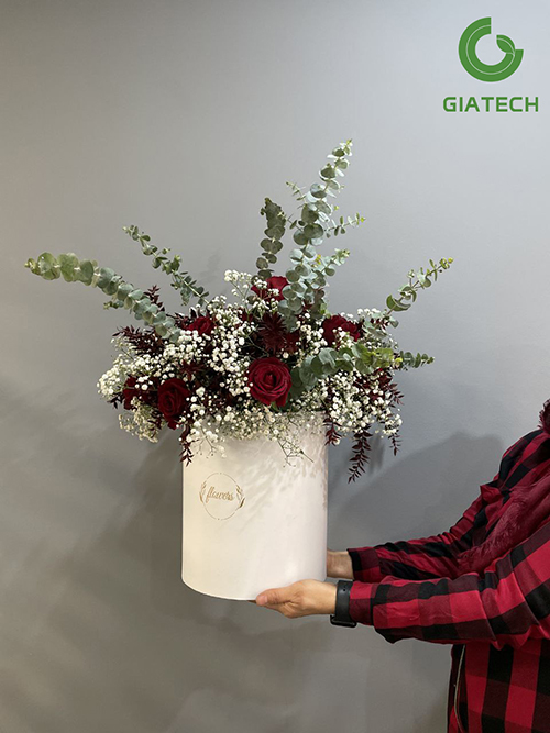 باکس گل رز هلندی